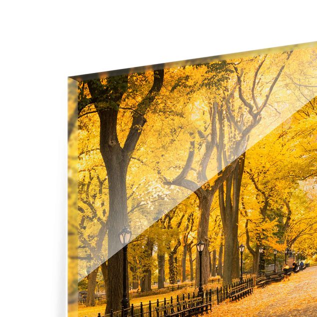 Spritzschutz Glas - Herbst im Central Park - Querformat 4:3