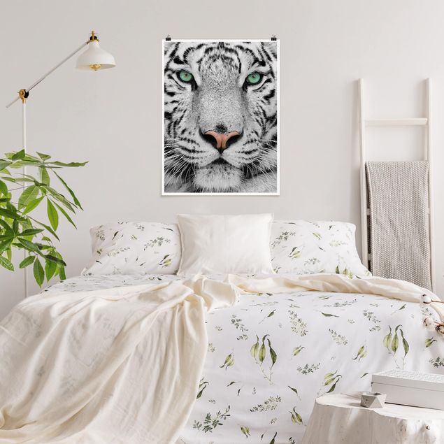 Poster schwarz-weiß Weißer Tiger