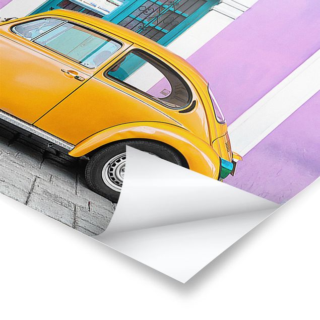 Poster - Kolorierte Beetles - Panorama Querformat
