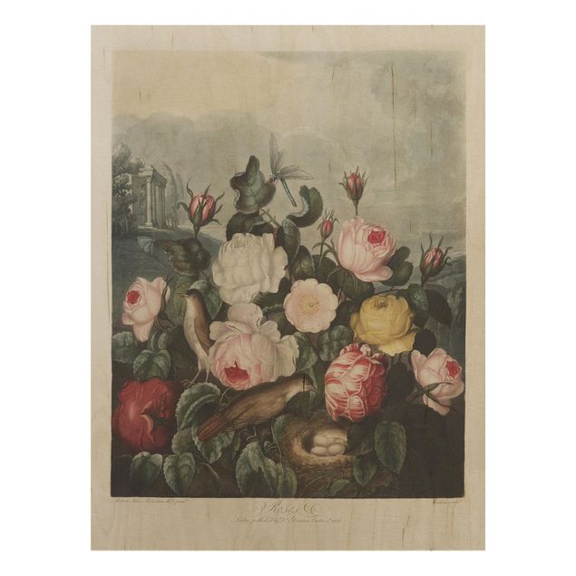Holzbild Blumen Botanik Vintage Illustration Rosen