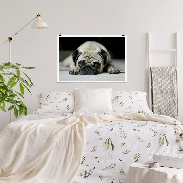 schwarz-weiß Poster Pug Loves You