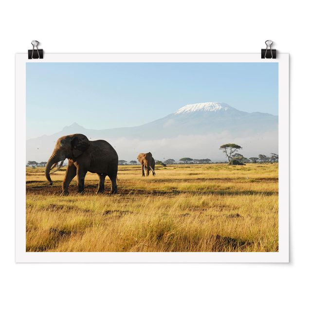 Wandbilder Landschaften Elefanten vor dem Kilimanjaro in Kenia