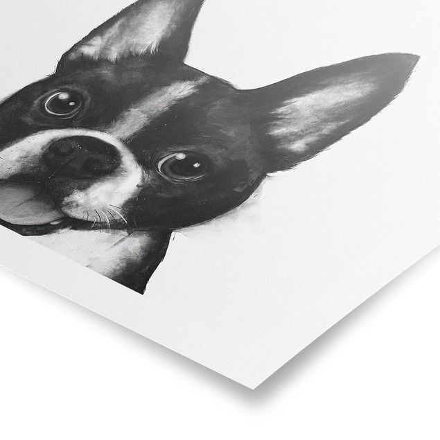 Tierposter Illustration Hund Boston Schwarz Weiß Malerei