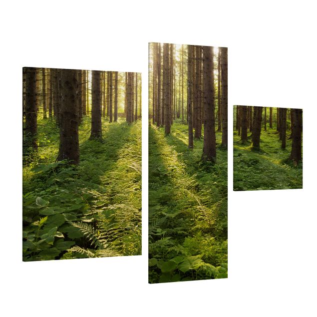 Wandbilder Bäume Sonnenstrahlen in grünem Wald