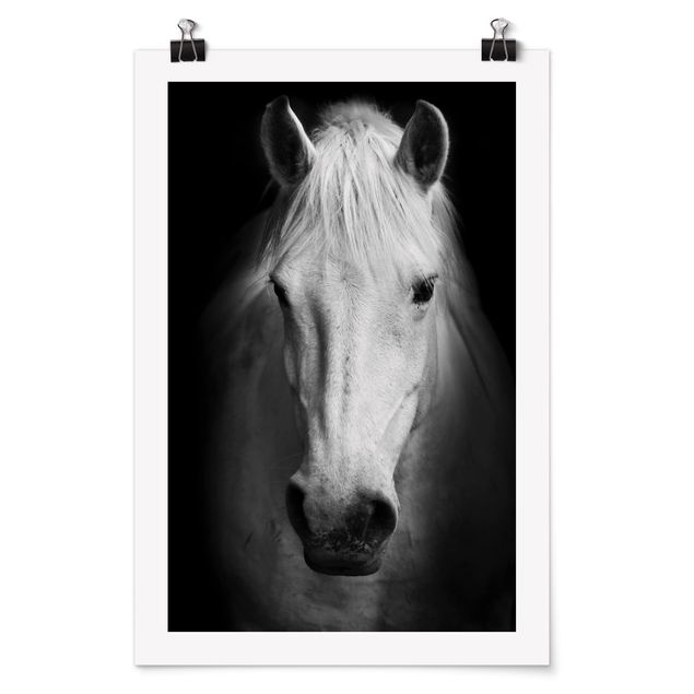 Poster Tiere Dream of a Horse