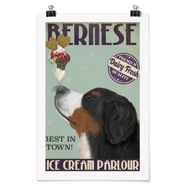 Tiere Poster Berner Sennenhund mit Eis