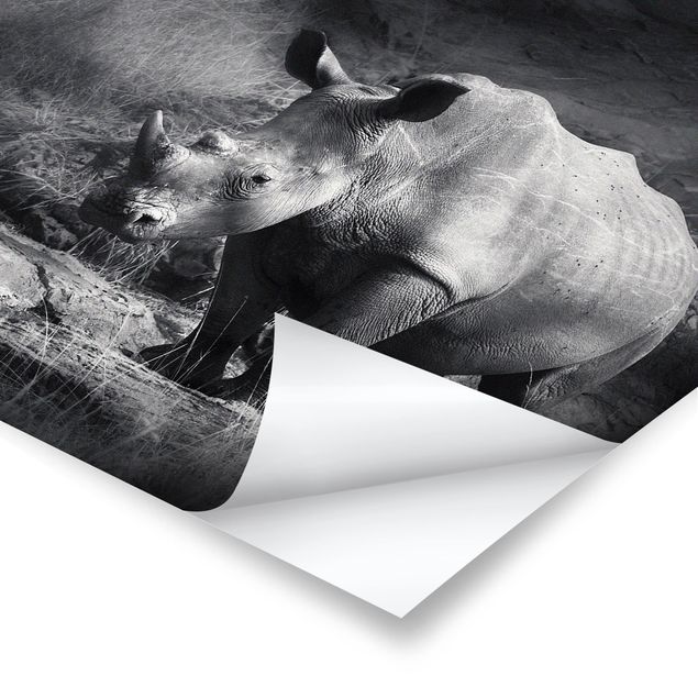Poster Lonesome Rhinoceros