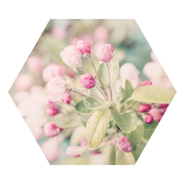 Forex Bilder Apfelblüte Bokeh rosa