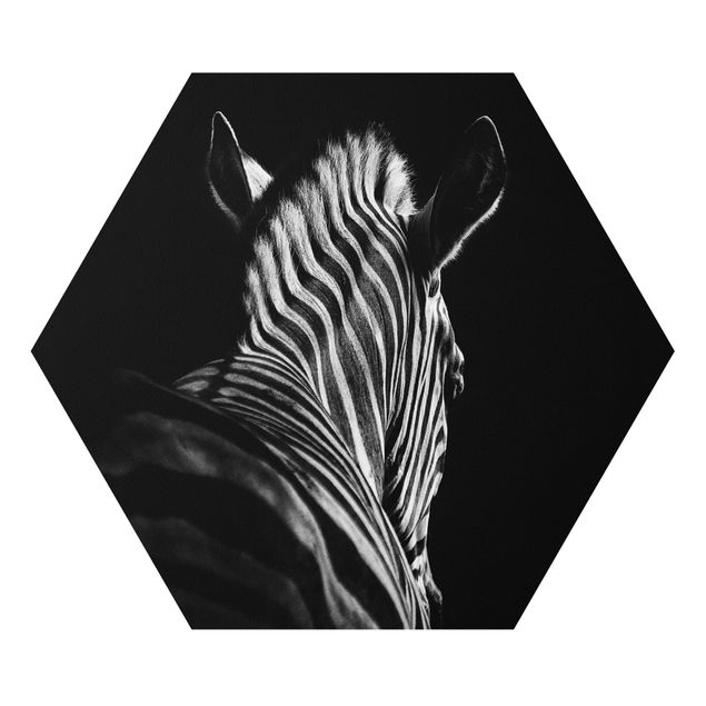 Bilder auf Hartschaumplatte Dunkle Zebra Silhouette