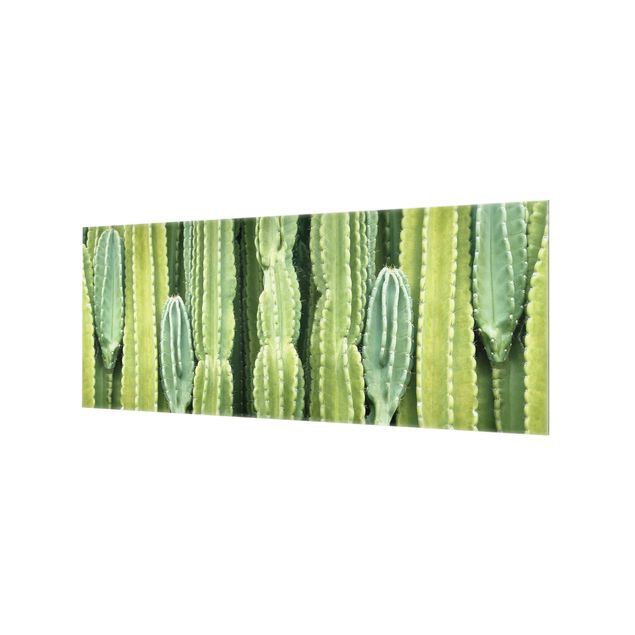 Spritzschutz Glas - Kaktus Wand - Panorama - 5:2