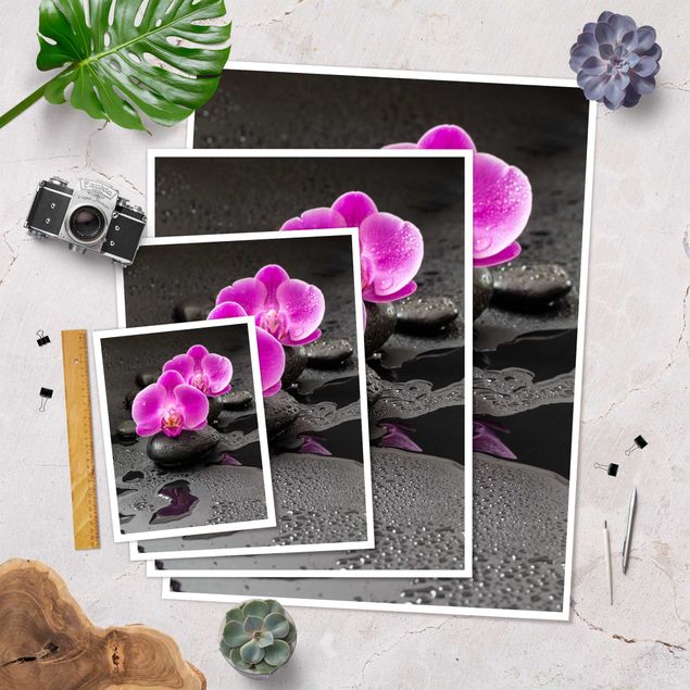 Poster Pinke Orchideenblüten auf Steinen mit Tropfen