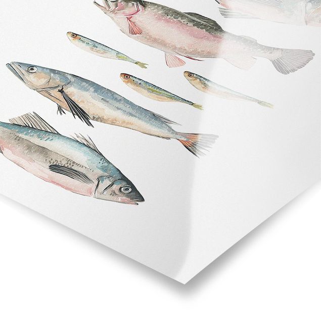 Wandbilder Sprüche Sieben Fische in Aquarell II