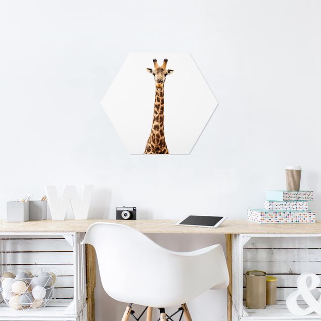 Wandbilder Modern Giraffenkopf