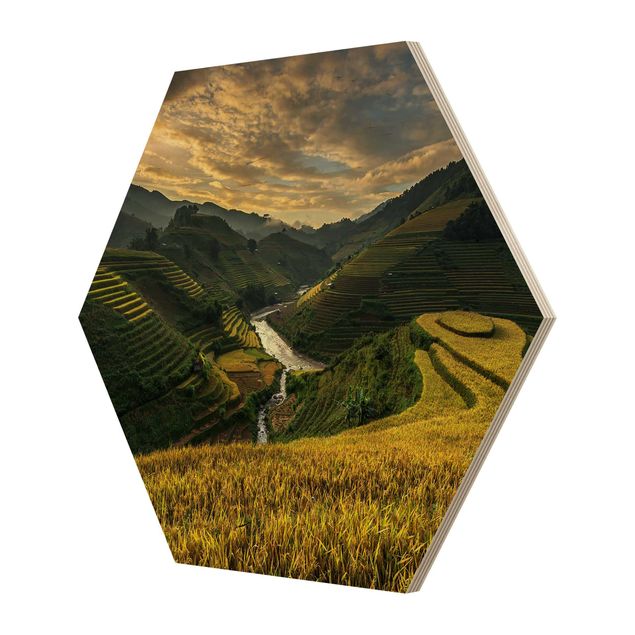 Hexagon Bild Holz - Reisplantagen in Vietnam