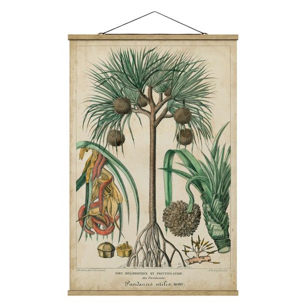 Wandbilder Blumen Vintage Lehrtafel Exotische Palmen I