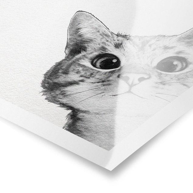 Tiere Poster Illustration Katze Zeichnung Schwarz Weiß