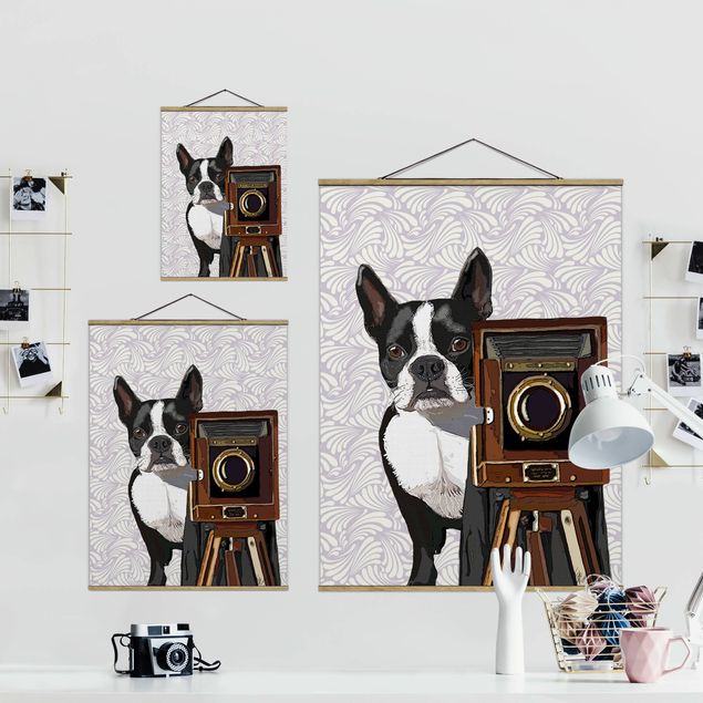 Wandbilder Braun Tierfotograf Terrier