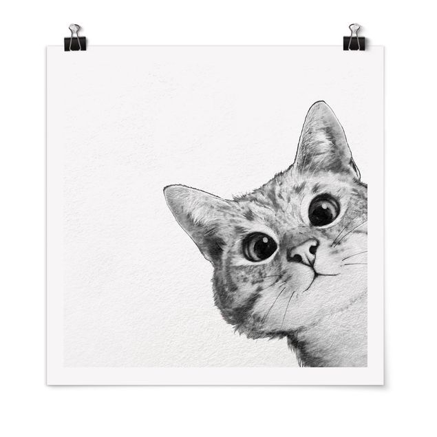 schwarz-weiß Poster Illustration Katze Zeichnung Schwarz Weiß