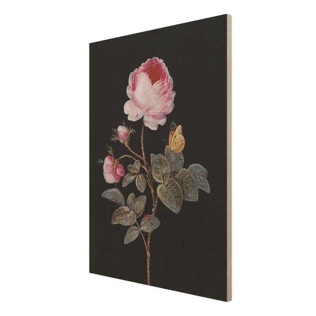 Holzbilder Blumen Barbara Regina Dietzsch - Die hundertblättrige Rose