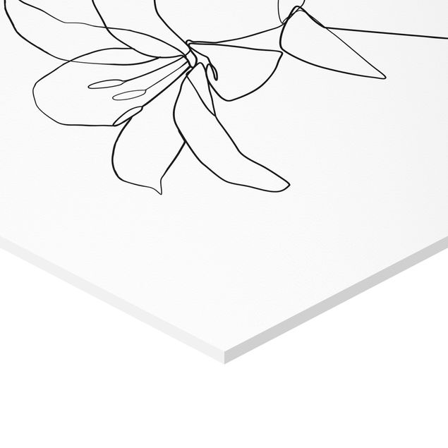 Bilder auf Hartschaumplatte Line Art Blüten Schwarz Weiß Set