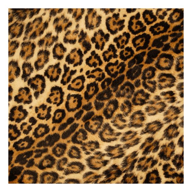 Klebefolie Möbel Jaguar Skin