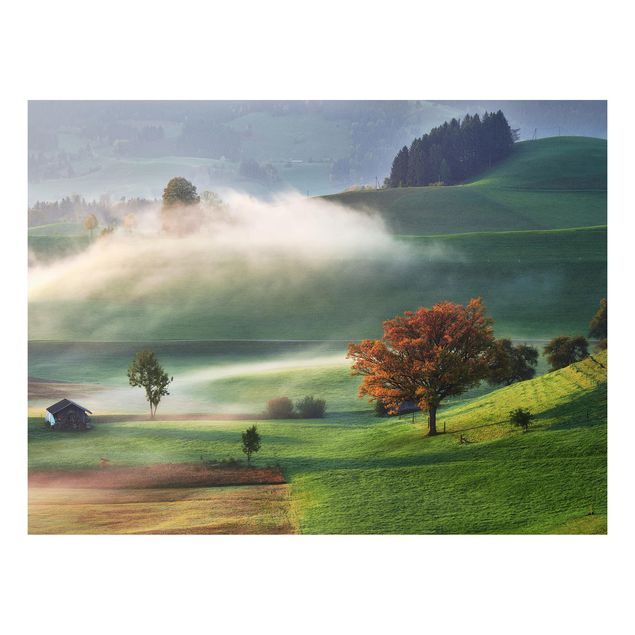 Wandbilder Schweiz Nebliger Herbsttag Schweiz