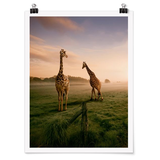 Wandbilder Landschaften Surreal Giraffes