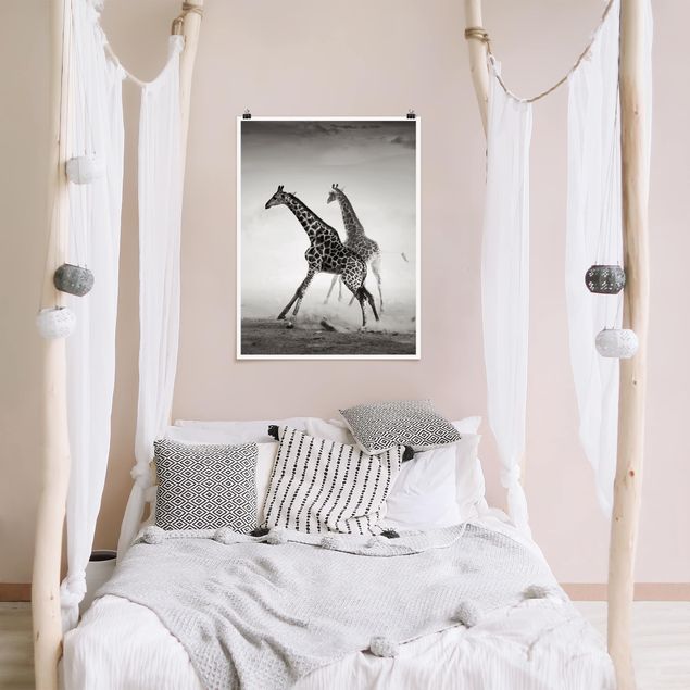 schwarz-weiß Poster Giraffenjagd