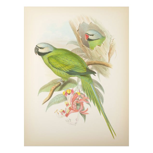 Wandbilder Floral Vintage Illustration Tropische Vögel II