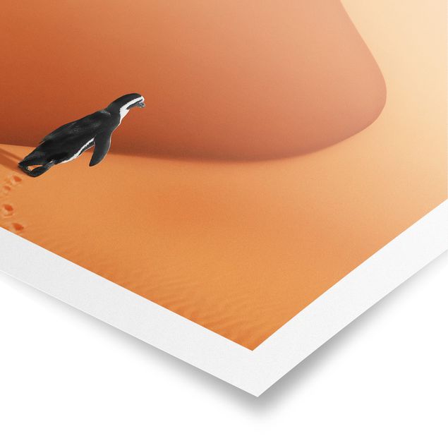 Poster Naturbilder Wüste mit Pinguin