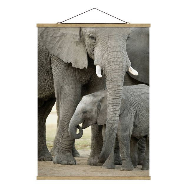 Wandbilder Modern Elefantenliebe
