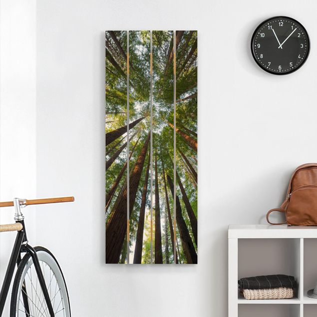 Holzbilder Landschaften Mammutbaum Baumkronen