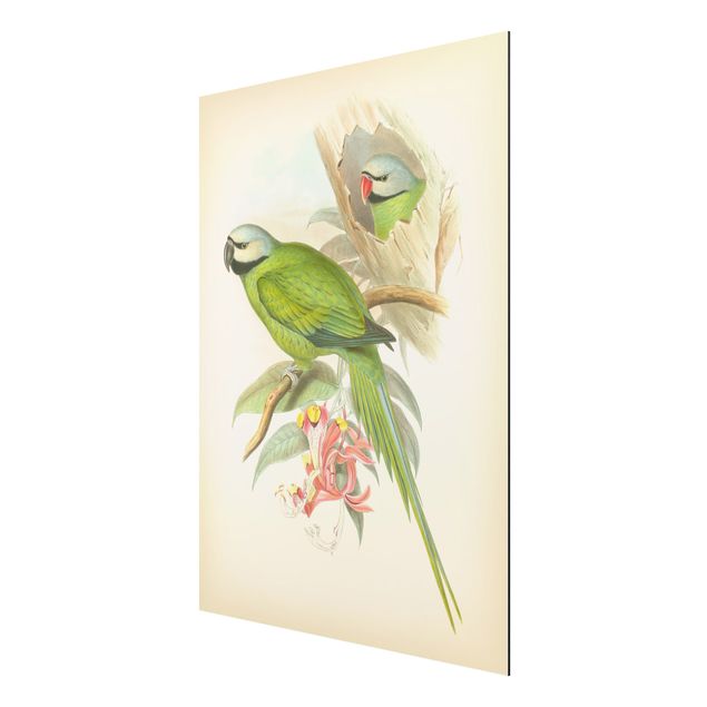 Wandbilder Blumen Vintage Illustration Tropische Vögel II