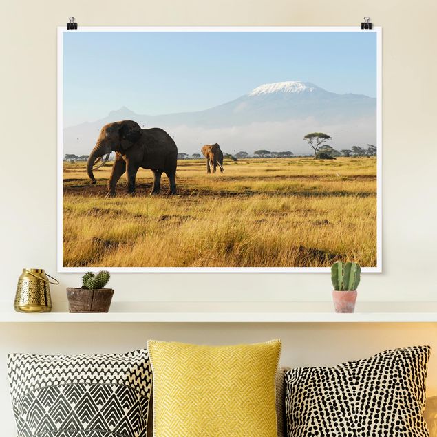 Wanddeko Küche Elefanten vor dem Kilimanjaro in Kenia