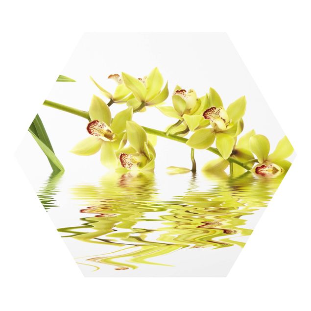 Wandbilder Modern Elegant Orchid Waters