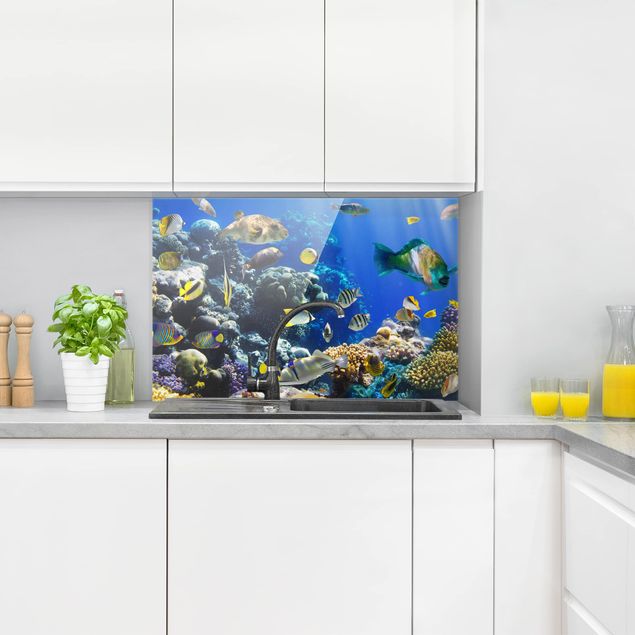 Glasrückwand Küche Underwater Reef