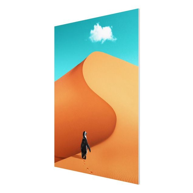 Wandbilder Kunstdrucke Wüste mit Pinguin