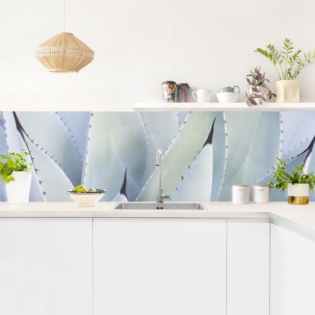 Küchenrückwand Folie Blumen Agavenblätter