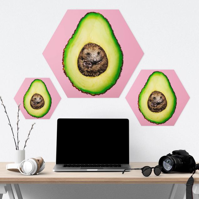 Hexagon Bilder Avocado mit Igel