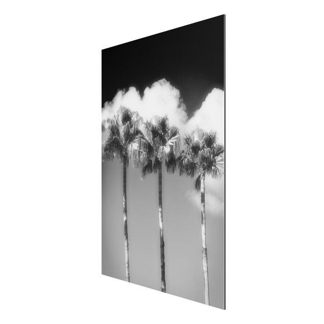 Wandbilder Floral Palmen vor Himmel Schwarz-Weiß