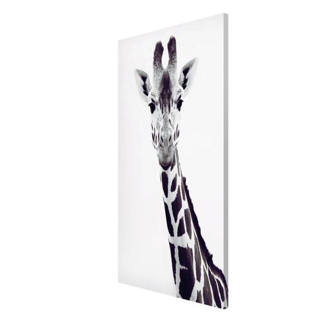 Magnettafeln Tiere Giraffen Portrait in Schwarz-weiß