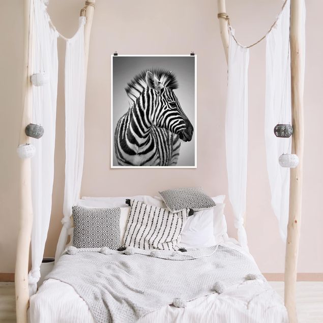 Poster schwarz-weiß Fotografie Zebra Baby Portrait II