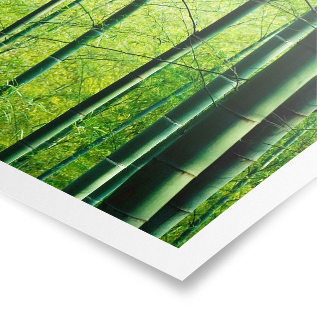 Wandbilder 3D Bambuswald