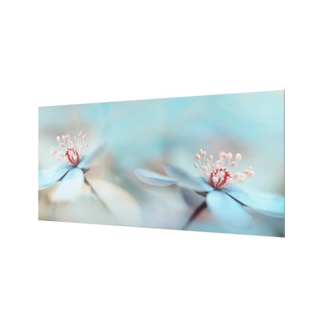 Spritzschutz Glas - Blüten in Hellblau - Querformat - 2:1