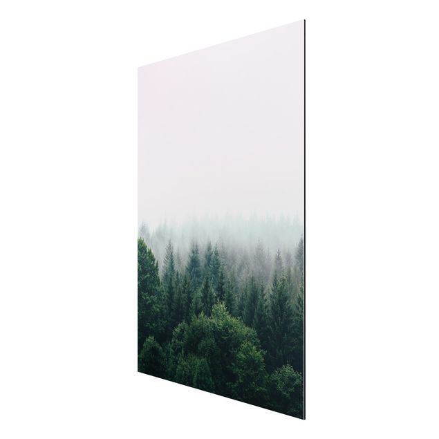 Wandbilder Landschaften Wald im Nebel Dämmerung