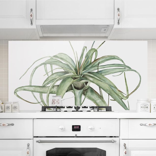 Wanddeko Küche Luftpflanze Aquarell I