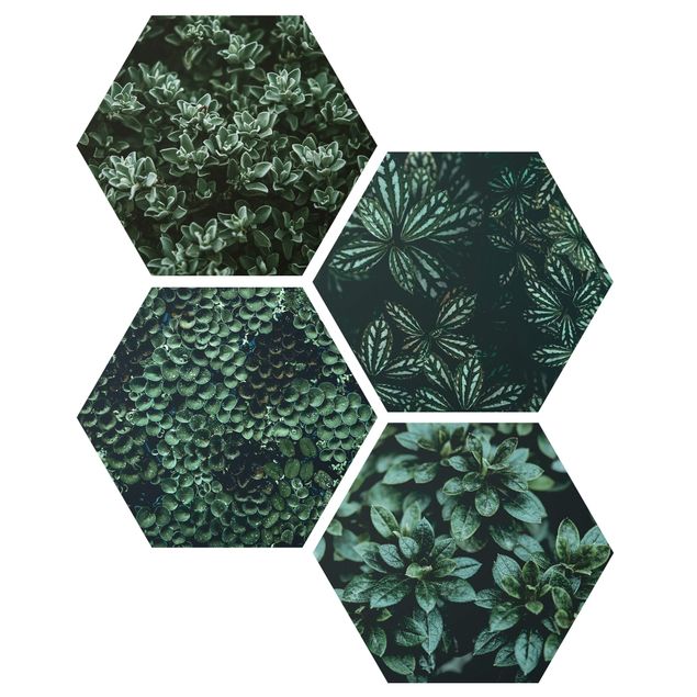 Wandbilder Modern Grüne Blätter Set I