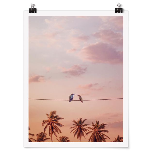 Poster Tiere Sonnenuntergang mit Kolibris