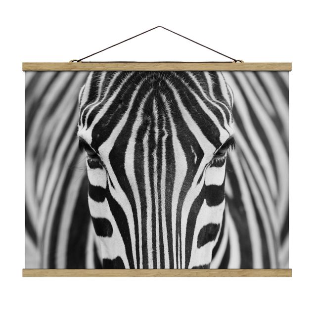 Wandbilder Afrika Zebra Look