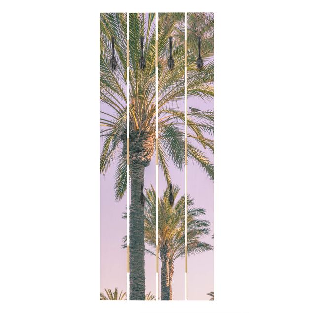 Wandgarderoben Grün Palmen im Sonnenuntergang